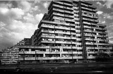 Lettera ad un camorrista