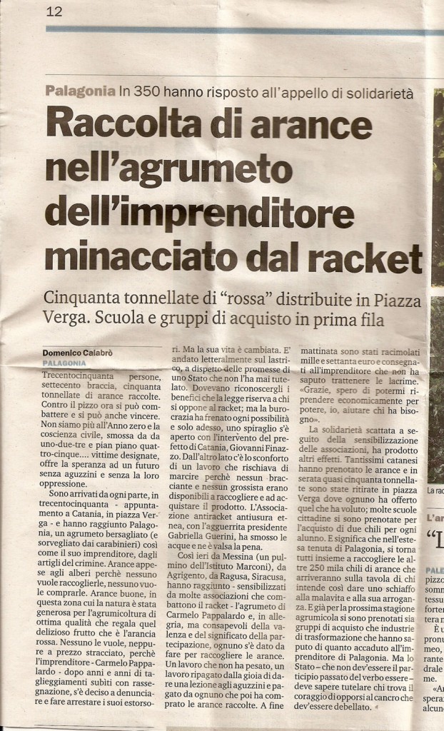 Raccolta di arance nell’agrumeto dell’imprenditore minacciato dal racket