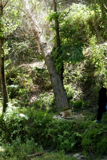 4. Dal paese “cerniera” con un occhio alla politica