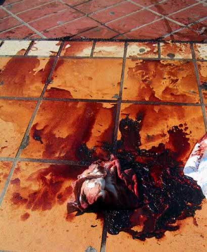 Democrazia sospesa, storie da non dimenticare