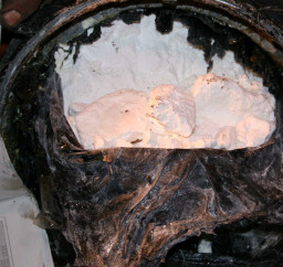 Droga: operazione Cc Venezia Sgomina traffico da Colombia