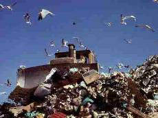 Droga: Dinner Out, altri arresti Gdf Modena e maxisequestro