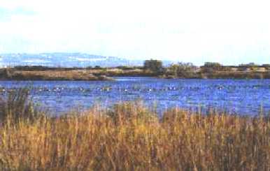 Dalla Colombia alla Calabria l’eco di libertà di Ingrid Betancourt