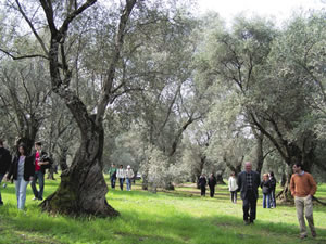 Avviso Pubblico e Libera TerraSinergie per lo sviluppo