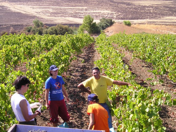 L’esperienza positiva della cooperativa Terre di Puglia