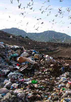 “Modello (?) Caserta”