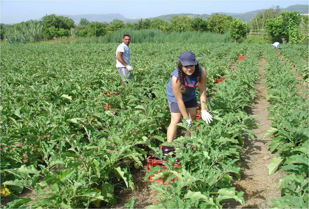 La “bestemmia” che ha tramortito le mafie