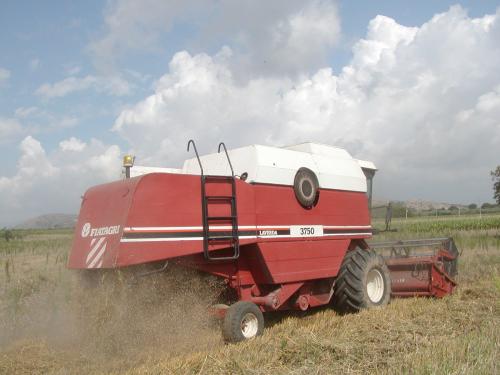 “Le Terre di Don Peppe Diana” il seme della passione civile