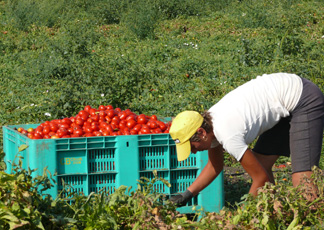 In nome della legge. Difendi gli immigrati? arrestato
