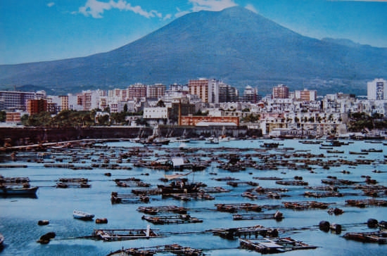 Operazione Garibaldi