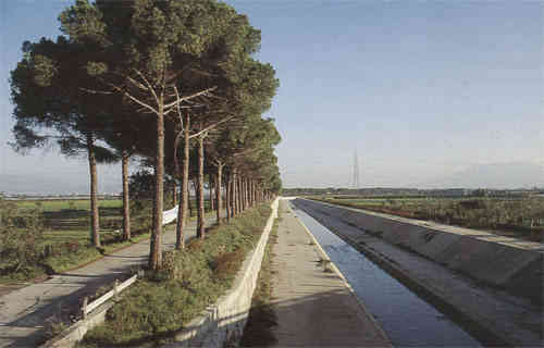 Acque Chiare – Regi LagniI depuratori che inquinano