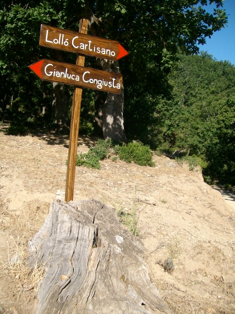 La vita in uno scatto