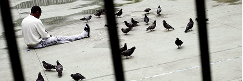 ‘ndrangheta: Milano rito ordinario per Chiriaco e boss Neri