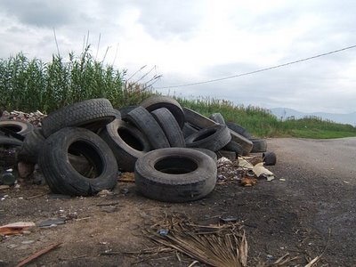 Copertone “selvaggio”