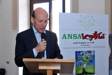 Mafia: pentito, trafugato in procura dvd nozze Lo Piccolo