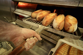 Libera Informazione sul quotidiano ecologista Terra