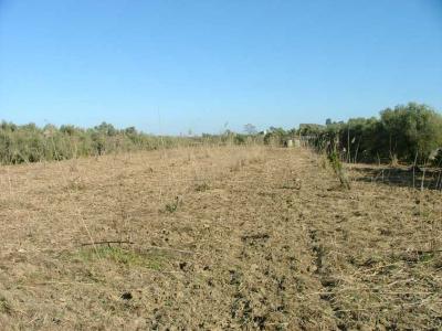 Catania, arrestato CocimanoEra il reggente di Cosa nostra