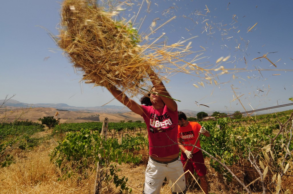 Sette Comuni sciolti per mafia