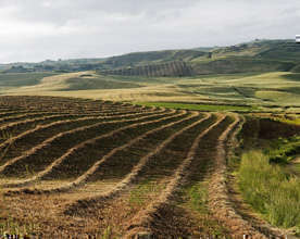 Ucciso dalla camorra per una foto su facebook