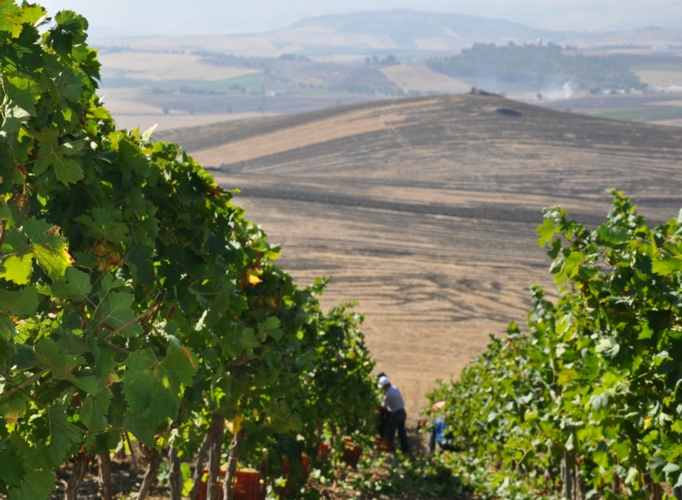Prima edizione della “Scuola 21 marzo” a Torino
