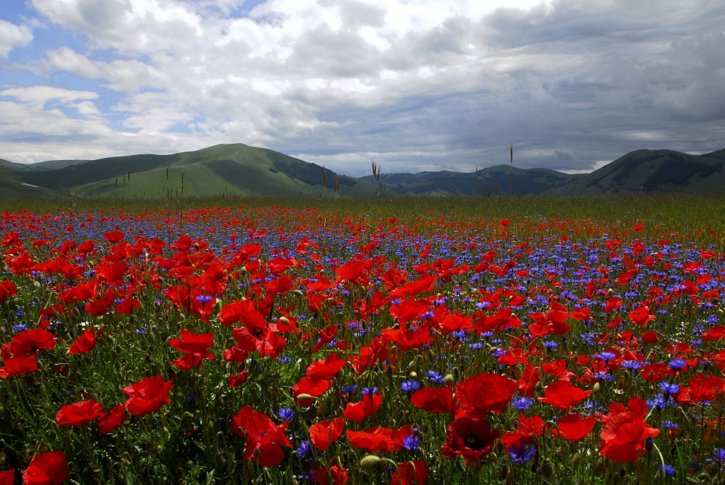 ‘Ndrangheta, il pericolo per l’Umbria arriva anche da Nord