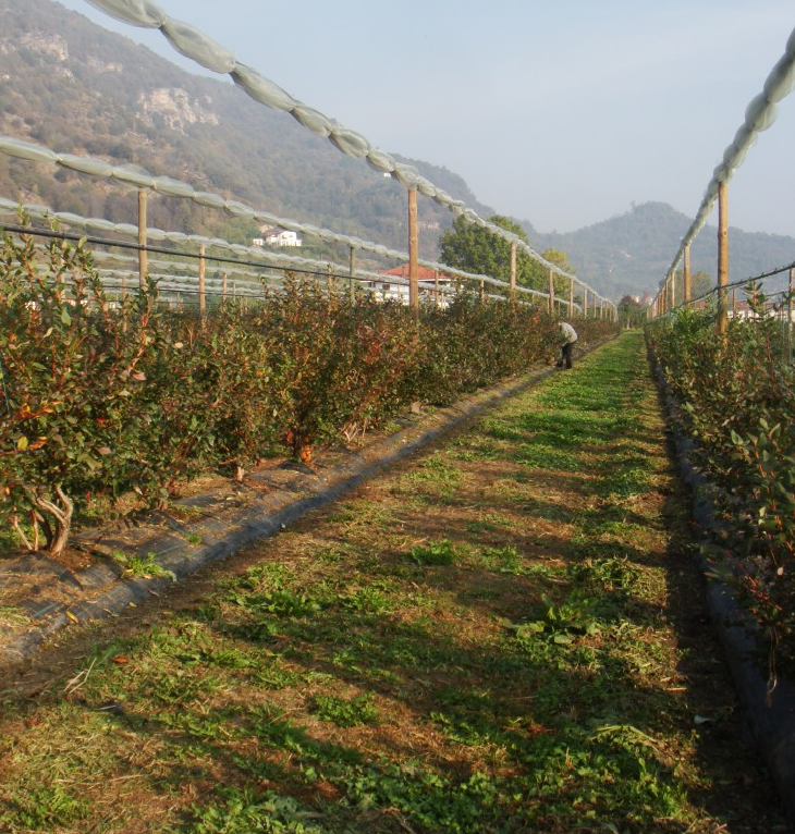Un registro pubblico per i lavoratori agricoli
