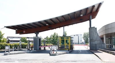 Truffe al mercato ortofrutticolo