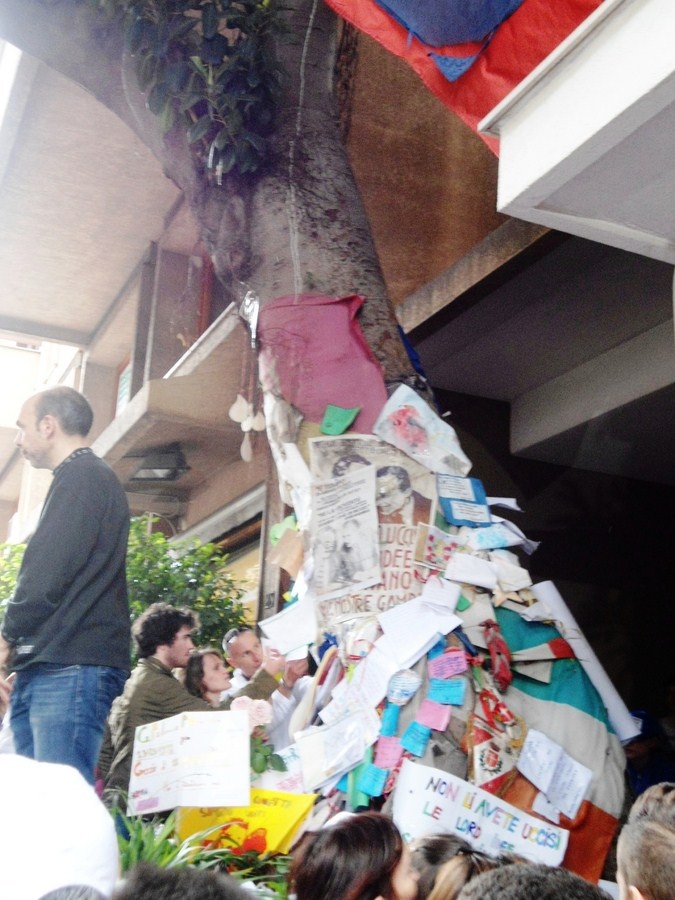 Fabrizio Miccoli prova a scusarsi per gli insulti a Falcone. Oggi cittadini e tifosi del Palermo portano maglia sotto l’albero dedicato al magistrato