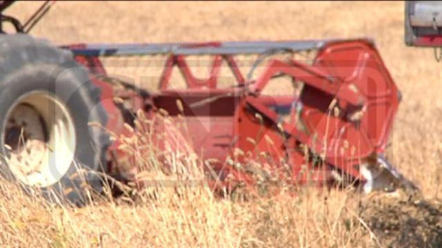 I finocchi, la ‘ndrangheta e l’arresto dell’ex sindaco di Isola Capo Rizzuto