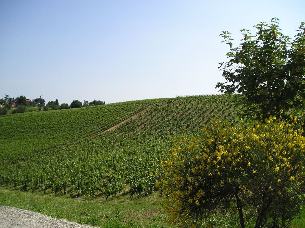 Le mafie “delocalizzano” gli affari in Veneto