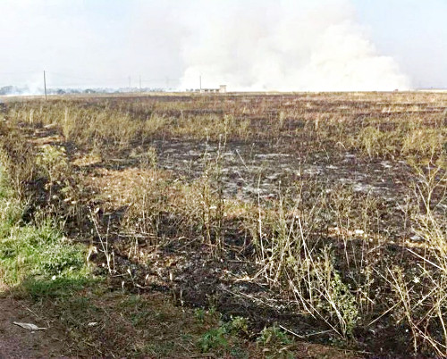 La Sacra Corona Unita, il cono d’ombra dell’informazione e le storie straordinarie da raccontare