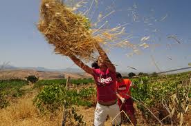 Piemonte, i dieci anni di Cascina Arzilla