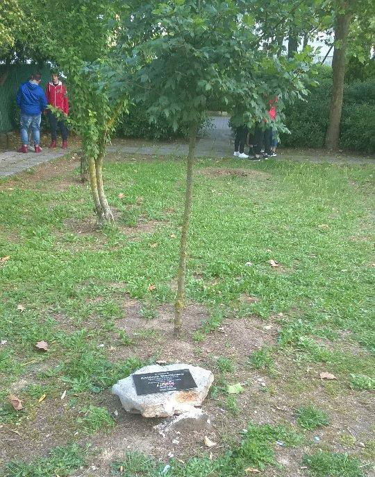 Mottola, distrutta la targa alla memoria di Antonio Montinaro