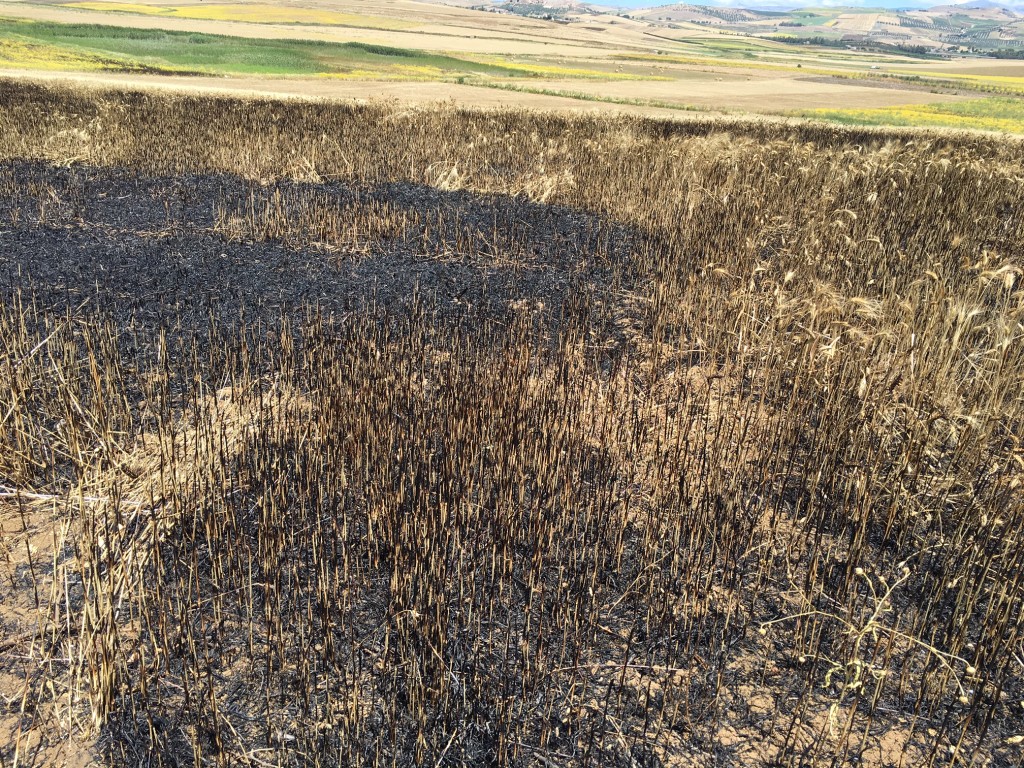 Il fuoco contro le confische