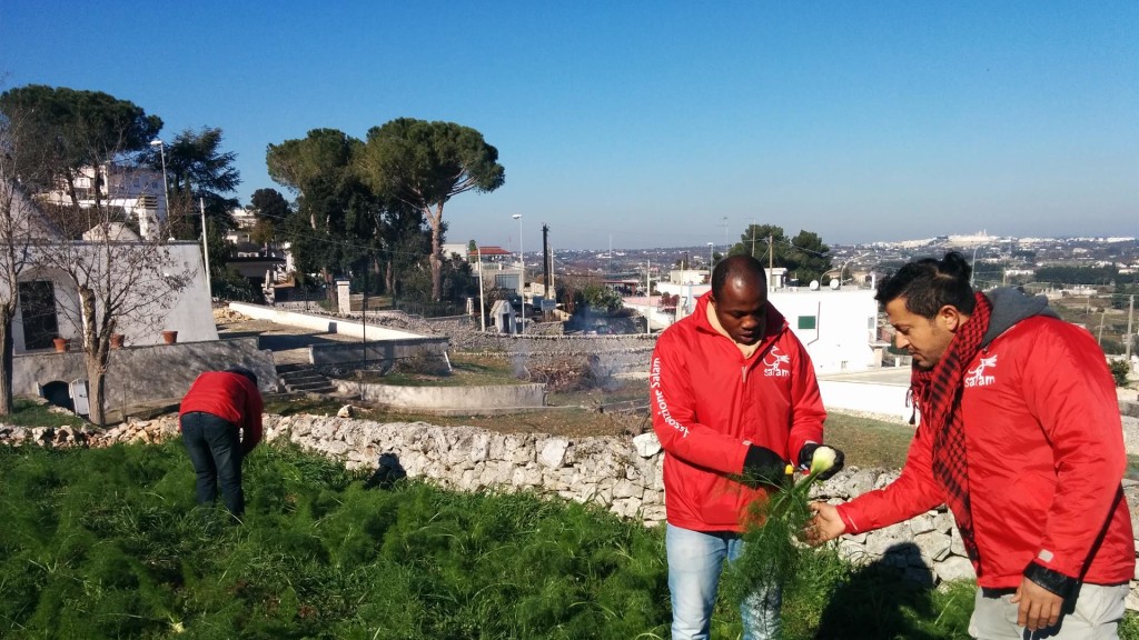 Migrazioni:una narrazione pubblica spesso falsata