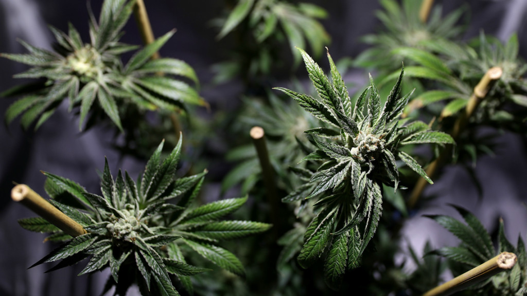 Droghe: sofferenza e indifferenza