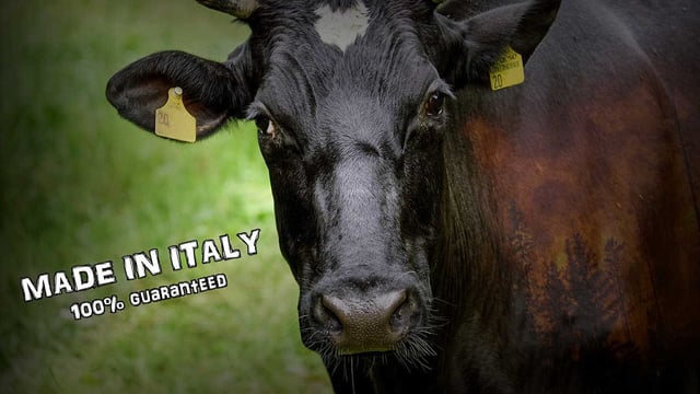 Global warming Made in Italy