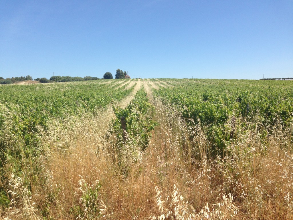 Beni confiscati a Trapani