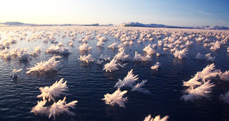 Figlio mio in fondo al mare ho visto l’orrore e piango ancora