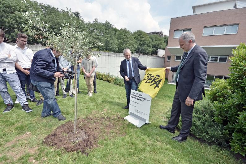 Brescia, 23 maggio: Palazzo di Giustizia, un ulivo per non dimenticare