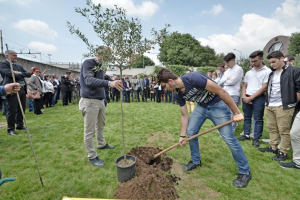 libera brescia ulivo