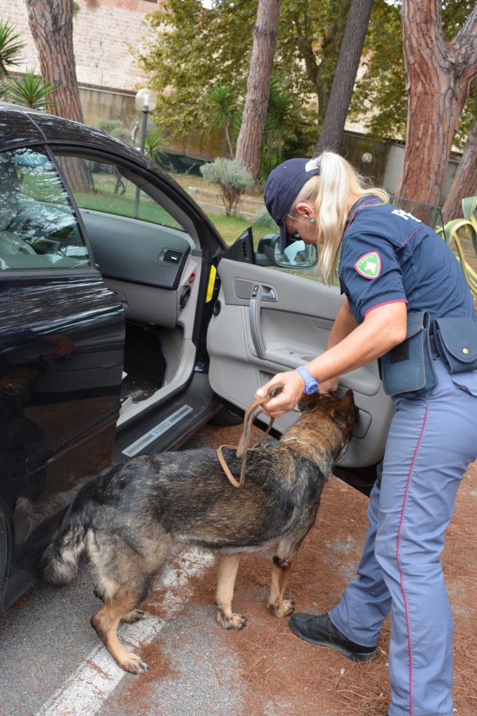 Potenziare prevenzione e contrasto allo spaccio di stupefacenti