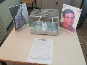 IMG_20190314_154000_resized_20190325_112118367