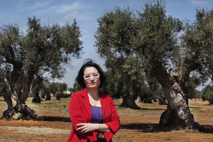 L’assoluzione di Marilù Mastrogiovanni: una vittoria a metà?