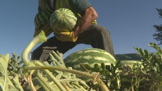 In nome di Pasquale Fusco