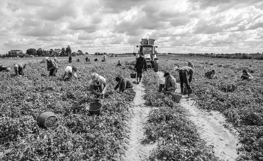 Mille giorni contro il caporalato. Ci vuole coraggio