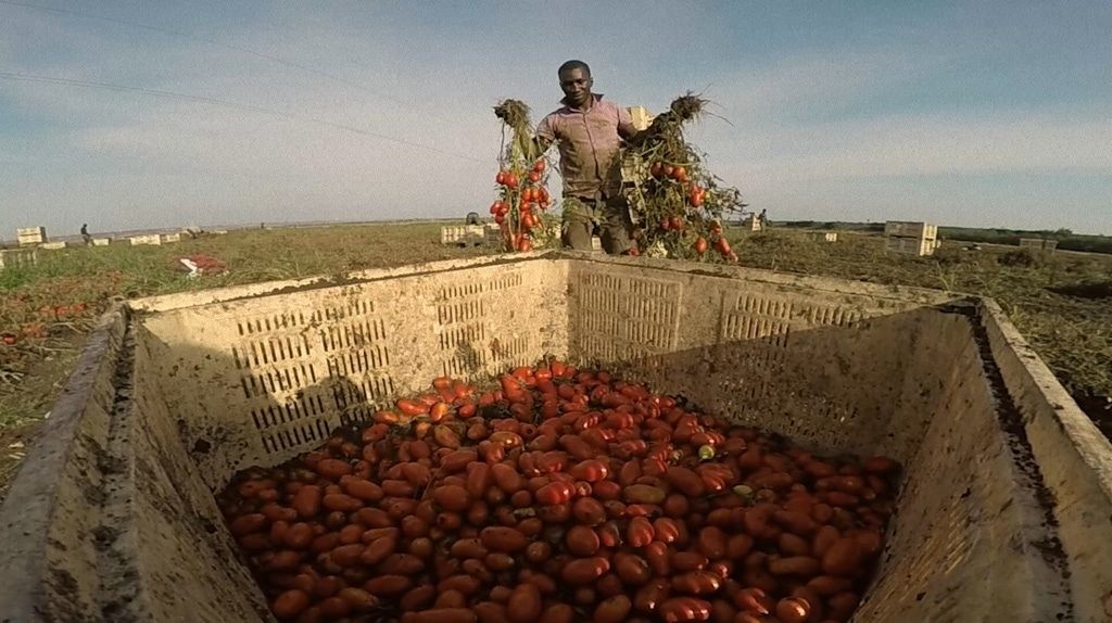 Coronavirus, appello per la tutela dei migranti