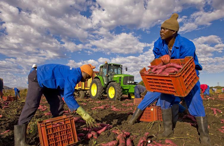 La nuova comunità e il doveroso riconoscimento dei migranti