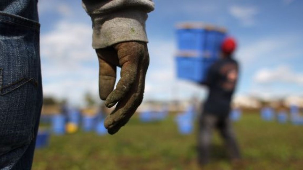 Le (complicate) procedure per l’emersione dei rapporti di lavoro irregolari