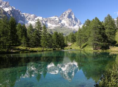 Per tutelare l’ambiente